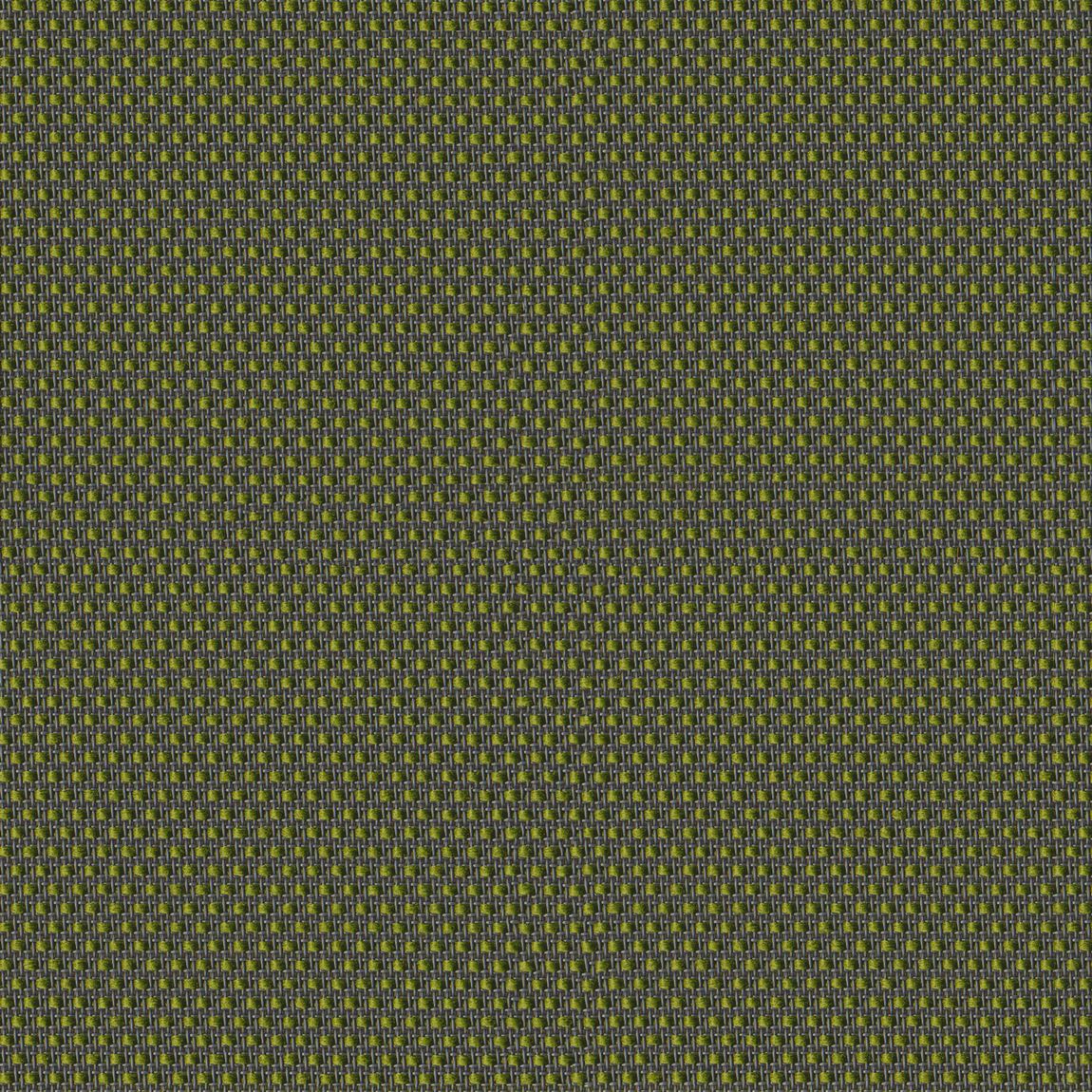 Chartreuse Mesh
