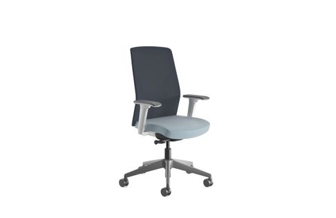 Contemporary Task Chair with Body Balance