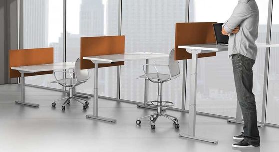 Stand Up Desks Enhance Productivity