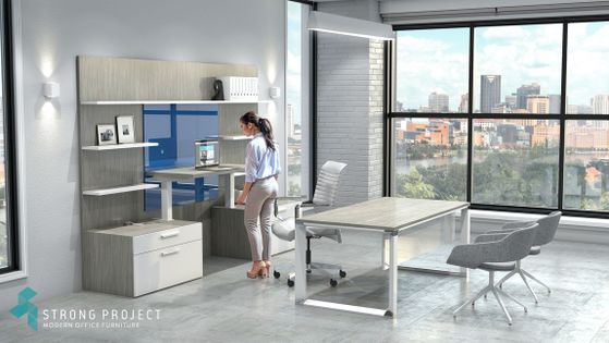 Sit-Stand Executive Office Suite Design