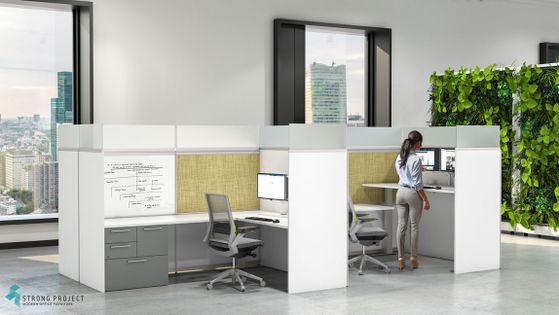 Private Office Cubicles