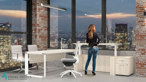 Modern Sit Stand Office Desks