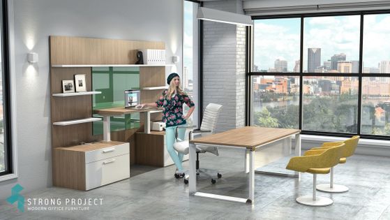Executive Desk Set with Wall Unit and Integrated Sit-Stand Platform