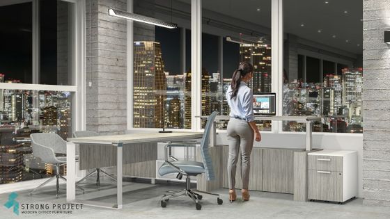 Contemporary Adjustable Standing Executive Desks
